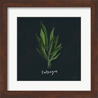 Herbs V Black Fine Art Print