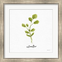 Herbs IV White Fine Art Print