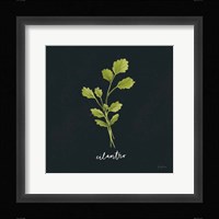 Herbs IV Black Framed Print