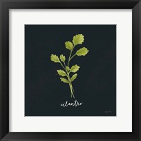 Herbs IV Black Framed Print