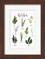 Herbs I White Fine Art Print