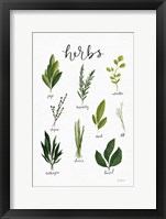 Herbs I White Fine Art Print
