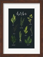 Herbs I Black Fine Art Print