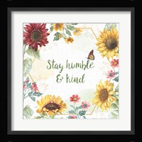 Sunflower Splendor III Framed Print