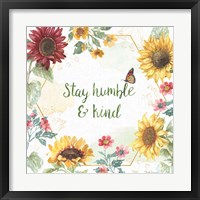 Sunflower Splendor III Framed Print