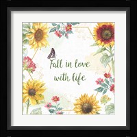 Sunflower Splendor II Framed Print