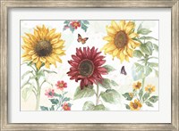 Sunflower Splendor IV Fine Art Print