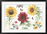 Sunflower Splendor IV Fine Art Print