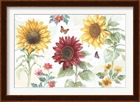 Sunflower Splendor IV Fine Art Print