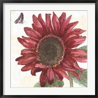 Sunflower Splendor X Fine Art Print