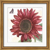 Sunflower Splendor X Fine Art Print
