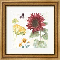 Sunflower Splendor VI Fine Art Print