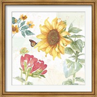 Sunflower Splendor VIII Fine Art Print