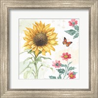 Sunflower Splendor V Fine Art Print