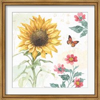 Sunflower Splendor V Fine Art Print