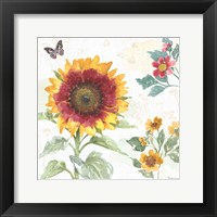 Sunflower Splendor VII Fine Art Print