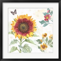 Sunflower Splendor VII Fine Art Print