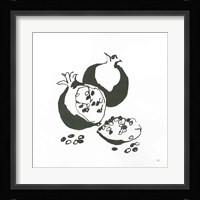 Pomegranate II BW Fine Art Print