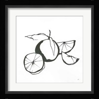Oranges BW Framed Print