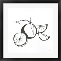 Oranges BW Fine Art Print