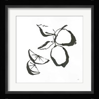 Limes BW Fine Art Print