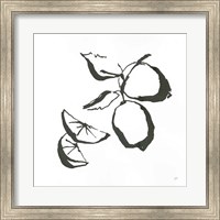 Limes BW Fine Art Print