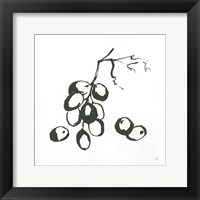 Grapes I BW Fine Art Print