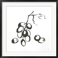 Grapes I BW Fine Art Print