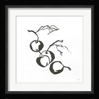 Cherries BW Fine Art Print