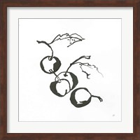 Cherries BW Fine Art Print