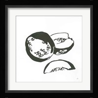Cantaloupe II BW Framed Print