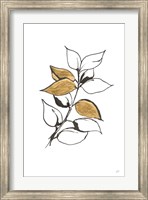 Leafed VII Fine Art Print