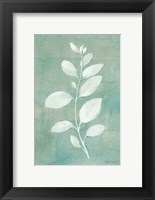 Sage Leaves II Fine Art Print