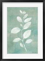 Sage Leaves II Fine Art Print
