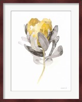 Spirit Flower II Fine Art Print