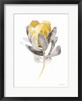 Spirit Flower II Framed Print