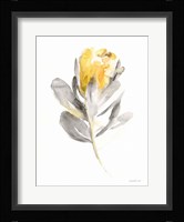 Spirit Flower I Framed Print