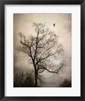 The Flyover Fine Art Print