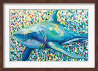 Chatham Shark Fine Art Print