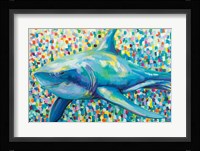 Chatham Shark Fine Art Print