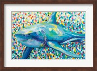 Chatham Shark Fine Art Print