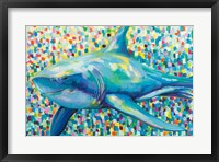 Chatham Shark Framed Print