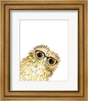 Owl in Glasses Fine Art Print
