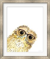 Owl in Glasses Fine Art Print