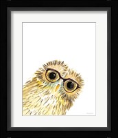 Owl in Glasses Framed Print