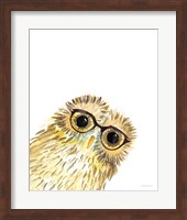 Owl in Glasses Fine Art Print