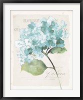 Antique Floral I Blue Vintage Fine Art Print