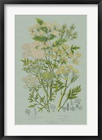 Flowering Plants III Green Linen Fine Art Print