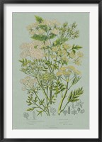 Flowering Plants III Green Linen Framed Print