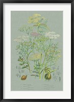 Flowering Plants II Green Linen Fine Art Print